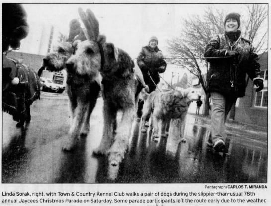 Walking with a pair of dogs